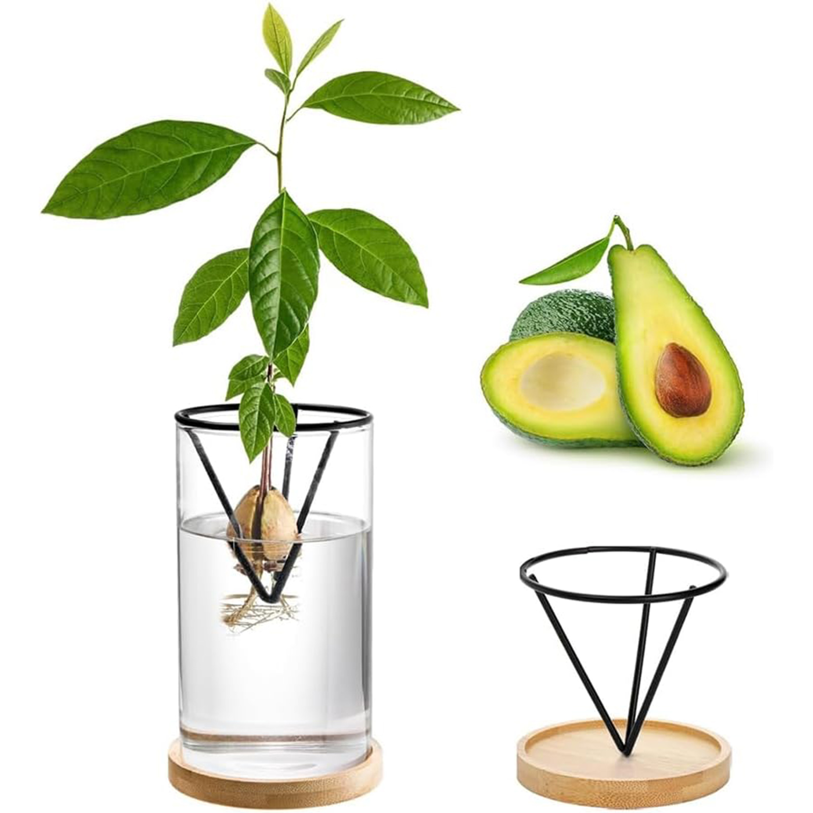 1Set Avocado Tree Growing Kits - Crystal Growing Kit recension och pris