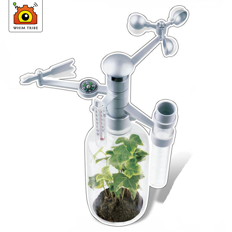 DIY ToySet Intellectual  Scien - Science Nature recension och pris