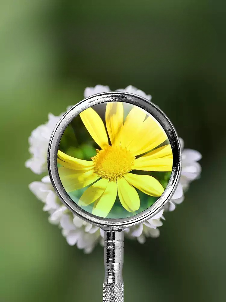 10X 20X Handheld Magnifying Gl - Hobby Is Science recension och pris