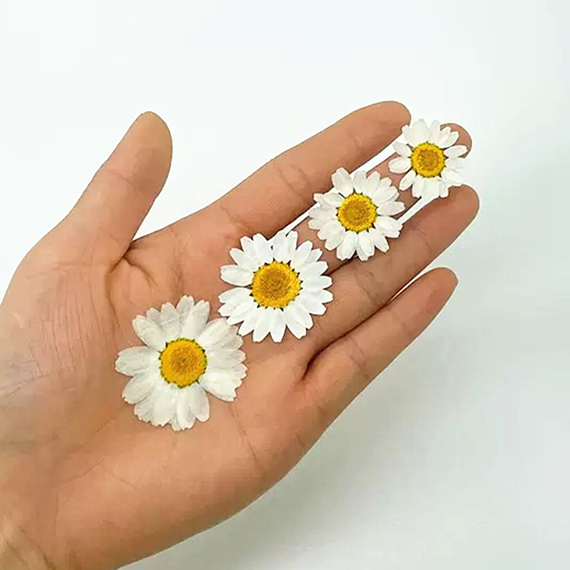 100Pcs Natural White Crystal C - Crystal Growing Kit recension och pris