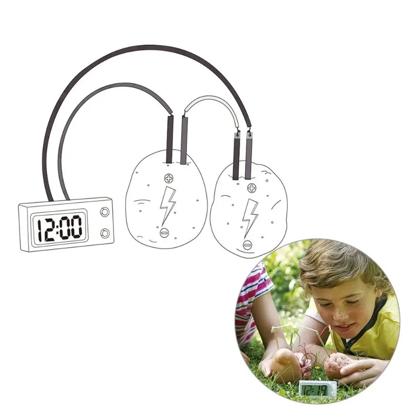 New Kid Montessori Toy Fruit P - Science Nature recension och pris