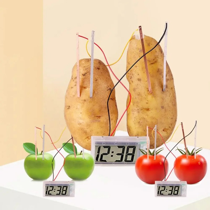 New Kid Montessori Toy Fruit P - Science Nature recension och pris