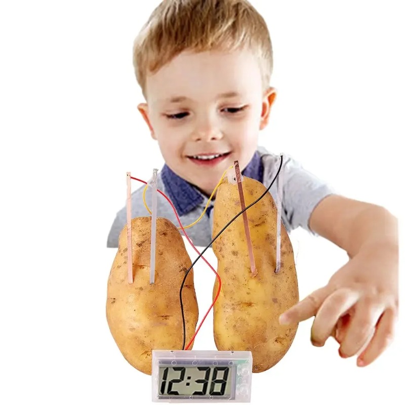 New Kid Montessori Toy Fruit P - Science Nature recension och pris