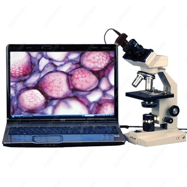 AmScope B100 Series Biological - Amscope Microscope Compound 40X-1000X recension och pris
