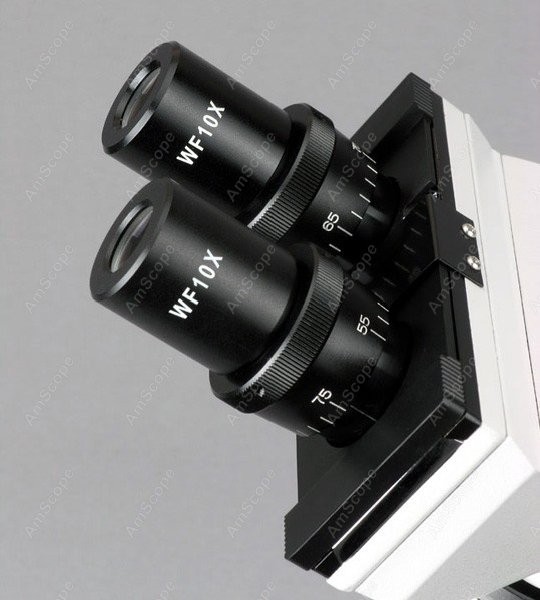 AmScope B100 Series Biological - Amscope Microscope Compound 40X-1000X recension och pris