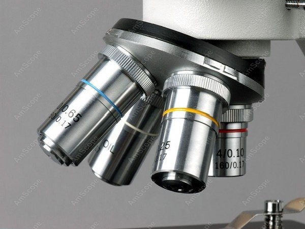 AmScope B100 Series Biological - Amscope Microscope Compound 40X-1000X recension och pris
